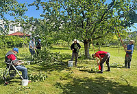 Kirschenernte_20260613_001.jpg