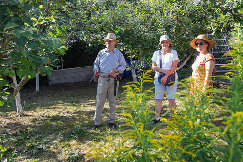 20260625_Sommerschnittkurs_0002.jpg