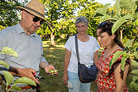 20260625_Sommerschnittkurs_0014.jpg
